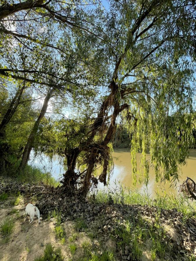 At The River Guest House Kroonstad Exterior photo